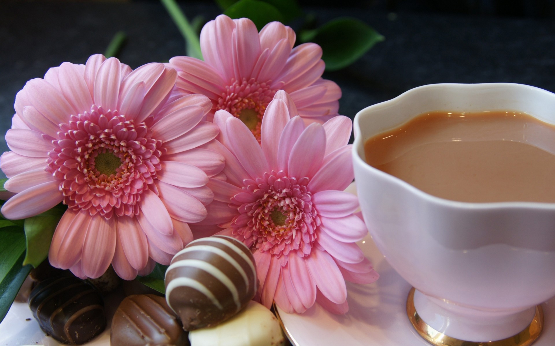 bonbons gerbera fleurs gerbera