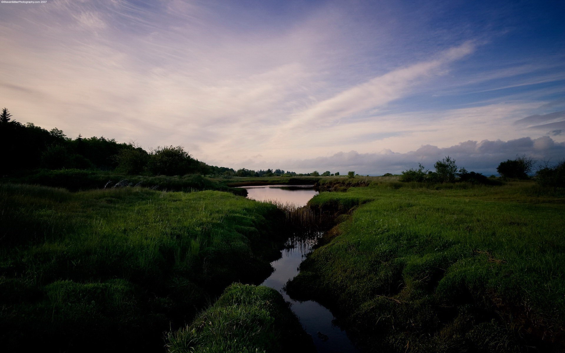 creek grass cloud