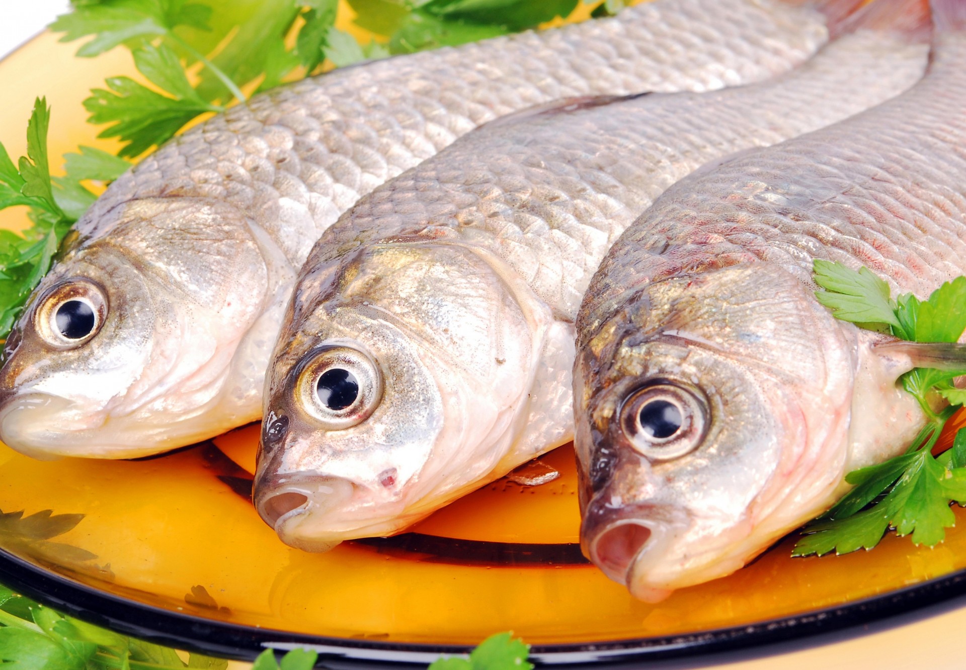 tres verdes perejil placa pescado