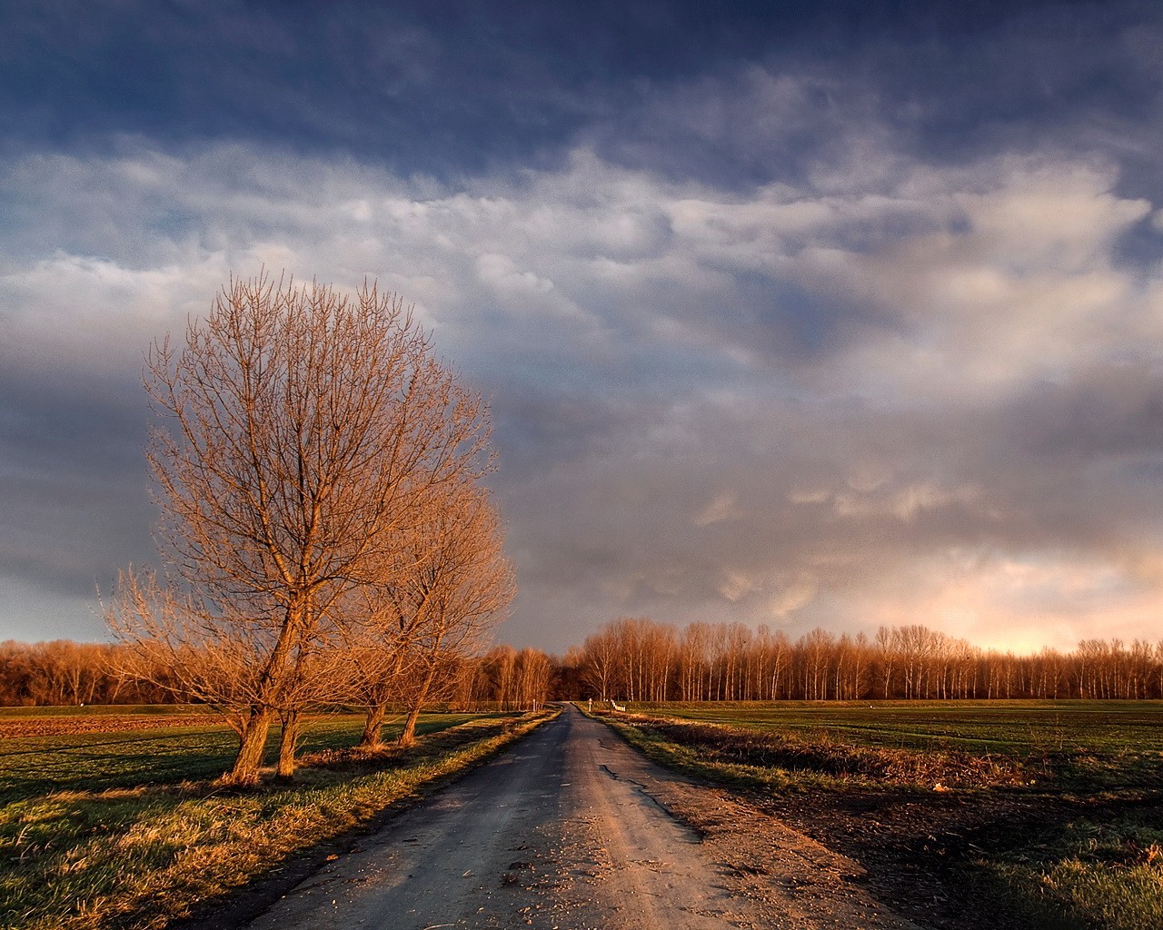 camino árboles nubes