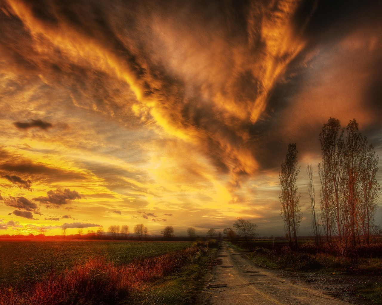 route nuages arbres hdr