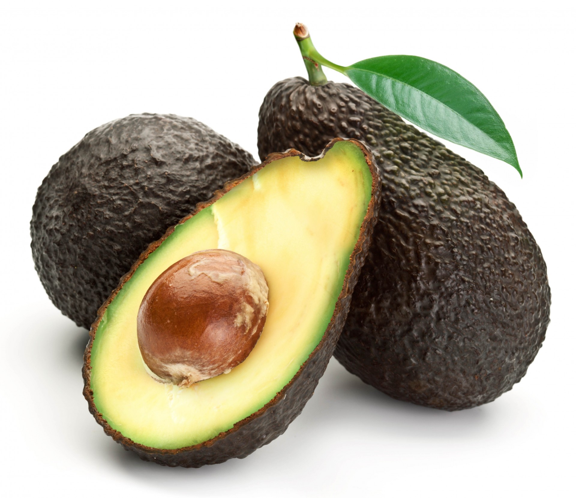 blatt knochen weißer hintergrund avocado schnitt