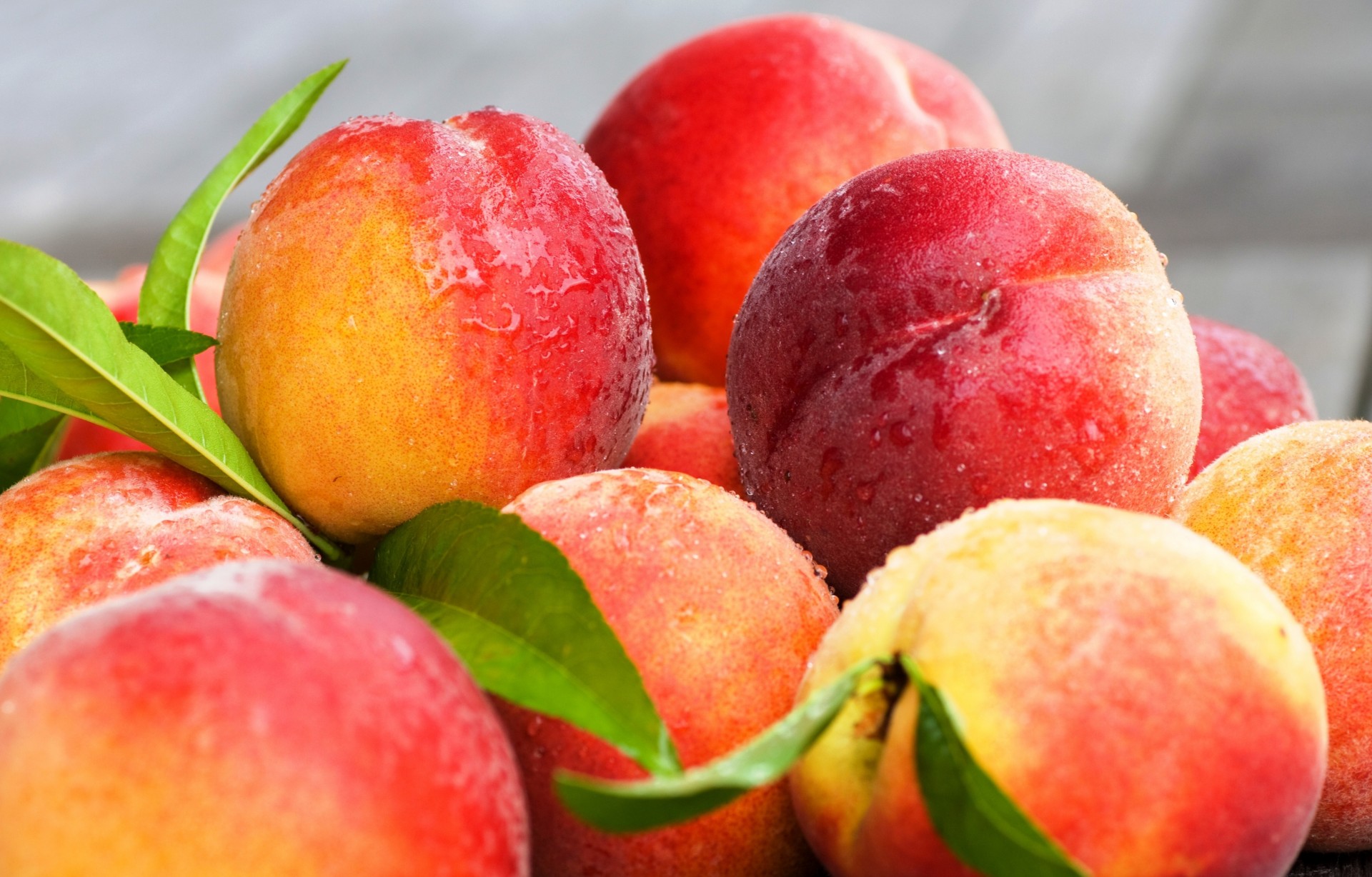 fruits peaches nectarine sheet