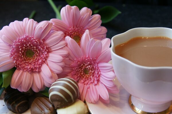 Tea parties under the smell of gerbera with delicious sweets