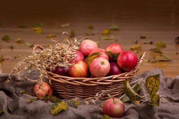 Autunno still life mele in un cestino