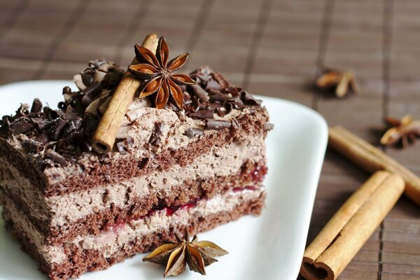 Chocolate cake with cream and cinnamon