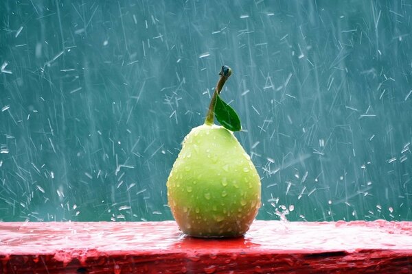 Pear on a bench in the rain