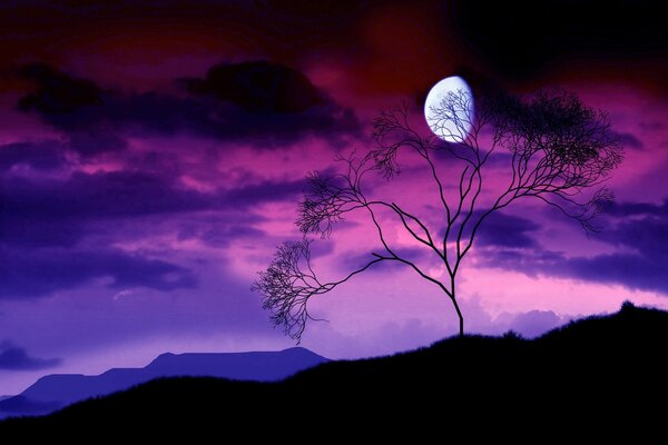 At night there is a tree with branches near the moon