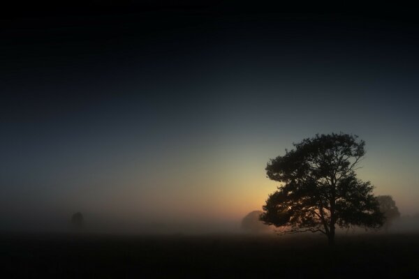 Matin brouillard matin toujours