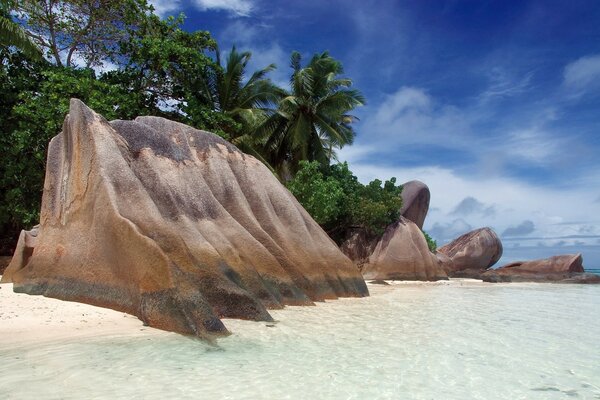 Isola tropicale con costa sabbiosa, grandi rocce e palme