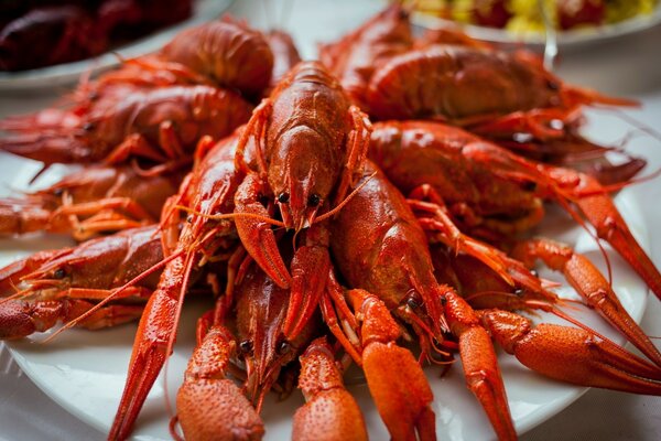 A bunch of red boiled crayfish