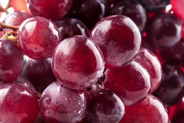 Juicy ripe grapes in macro