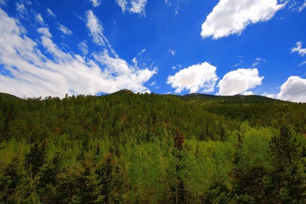 Trees and mountains clouds sky beauty