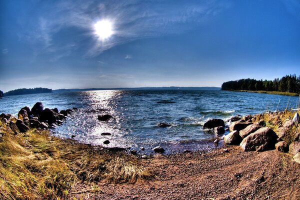 Foto panorámica del lago, el bosque y el cielo