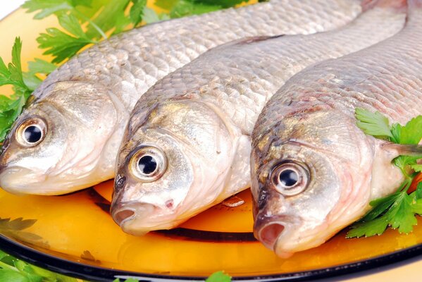 Pesce su un piattino con un bel servizio