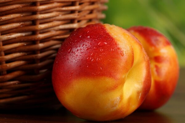 Two juicy nectarines near the basket