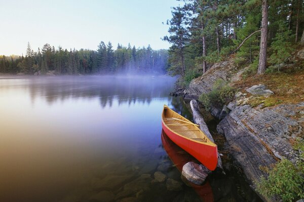 Barco solitario en el bosque