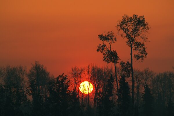 Muy hermosa puesta de sol