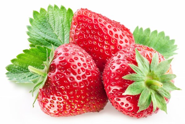 Fraises mûres sur fond blanc