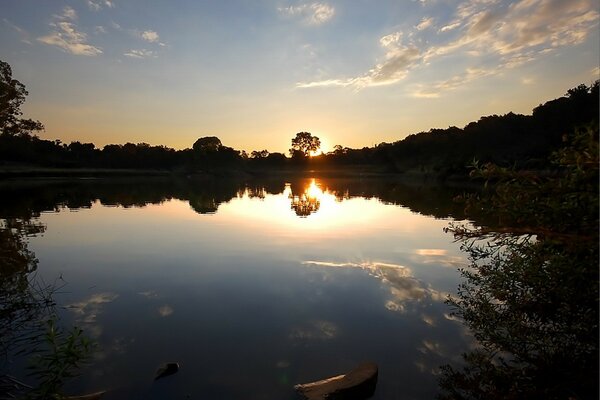 Schöner Sonnenuntergang mit Bäumen am See