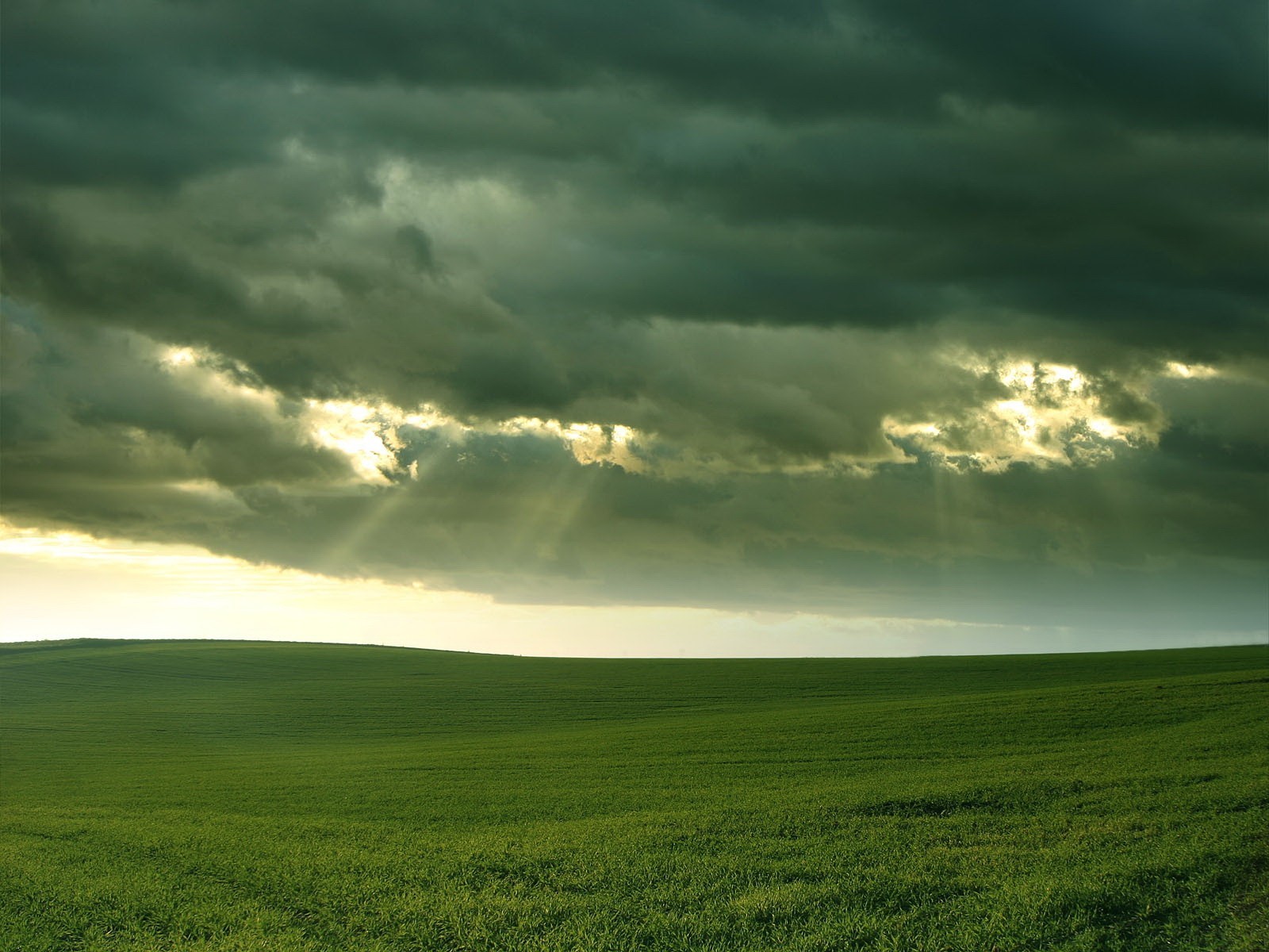 feld wolken licht gras