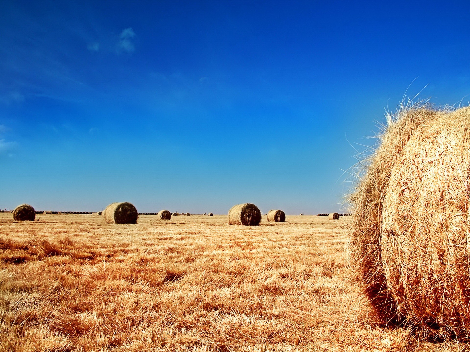 the field straw sky bale