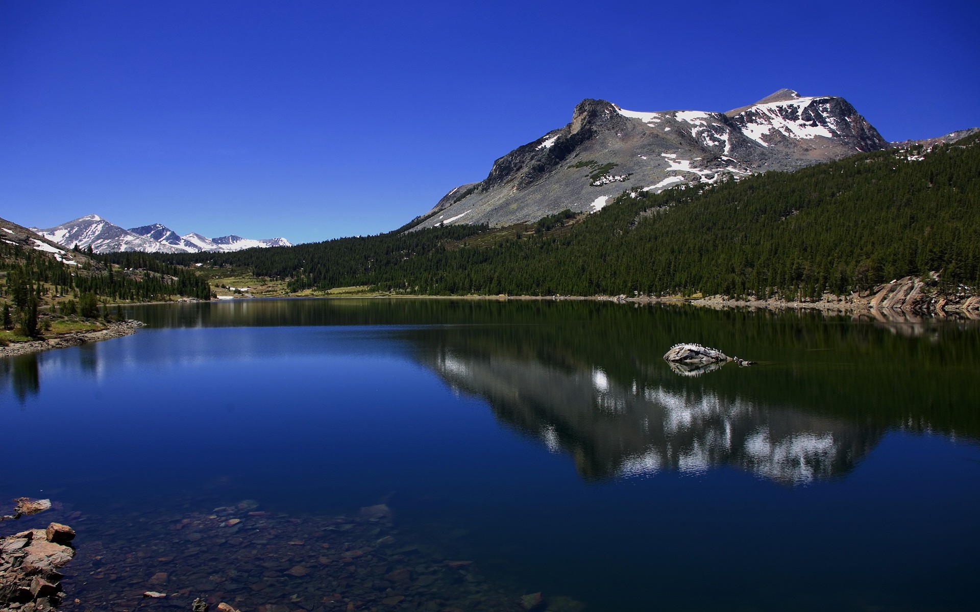 lago montañas árboles