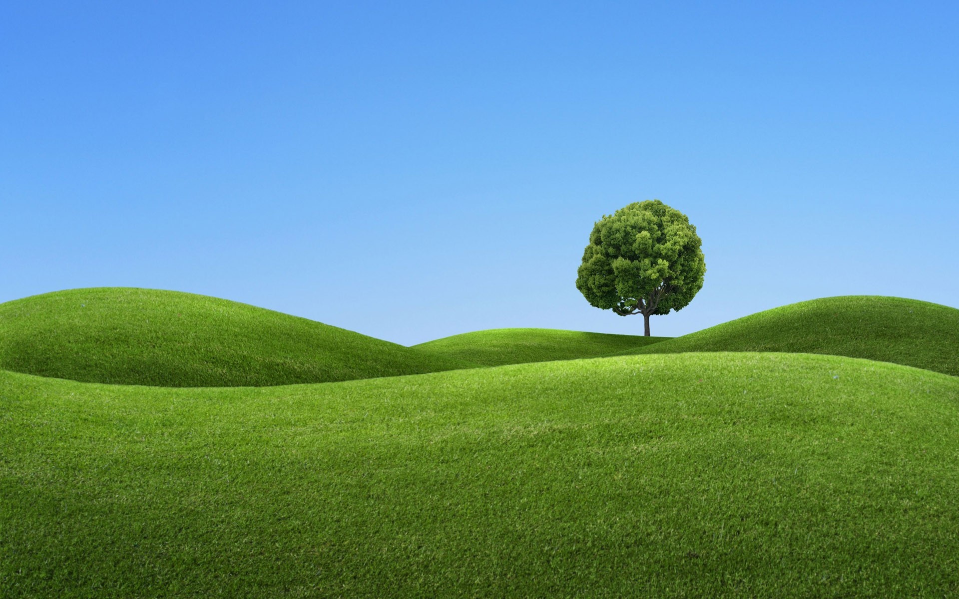 árbol colinas verde azul