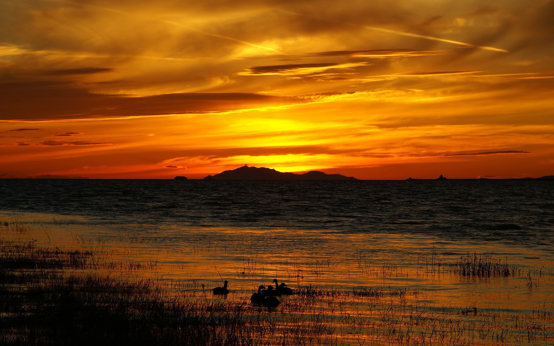 lac herbe coucher de soleil