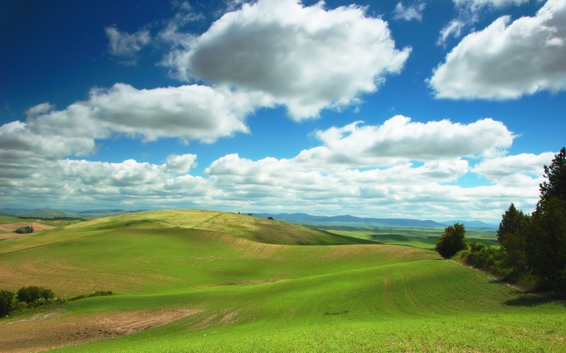 the field clouds hills sky