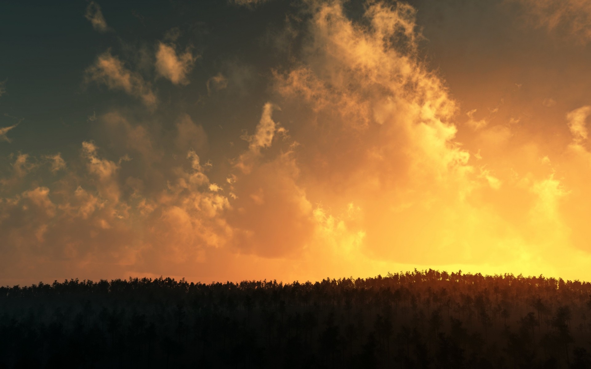 clouds tree sunset