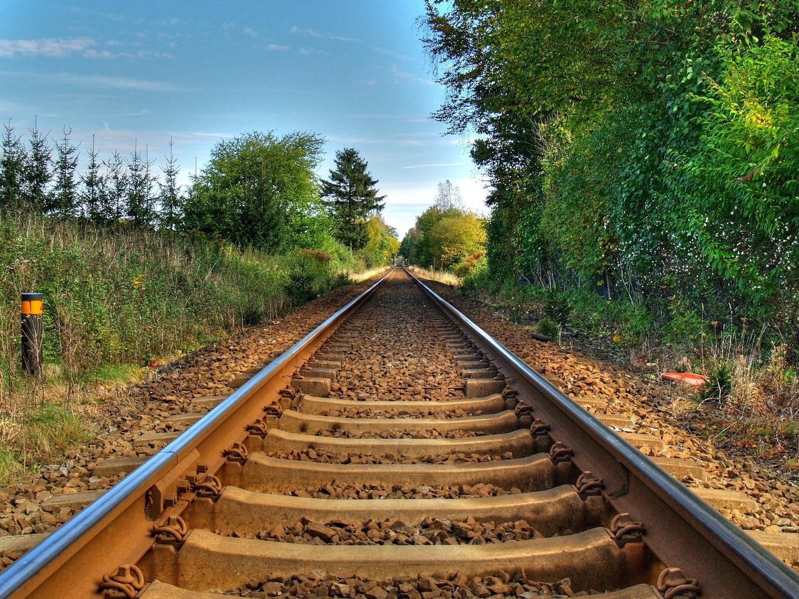 ferrocarril camino árboles carriles