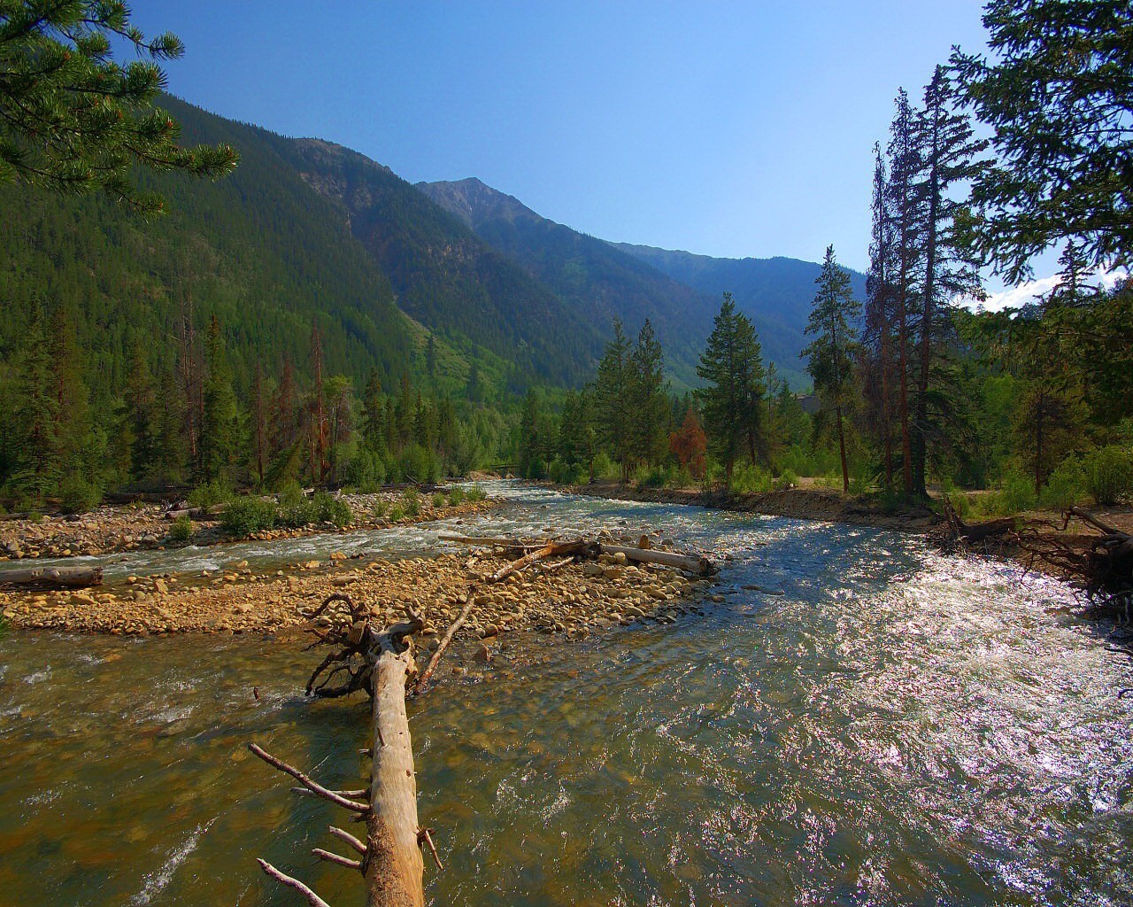 río árboles montañas