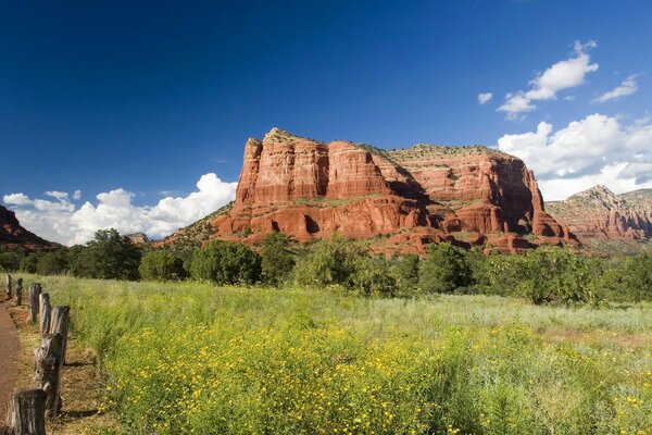 Hermosa vista se abre a las altas montañas en medio de la vegetación