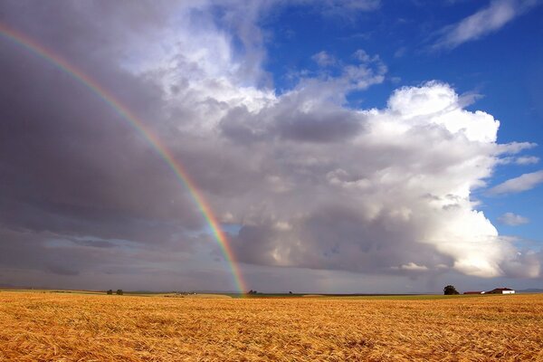 En el campo de oro hermoso arco iris