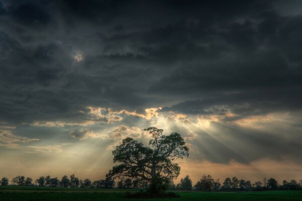 Strahlen und Strahlen der Sonne brechen aus dem Himmel auf