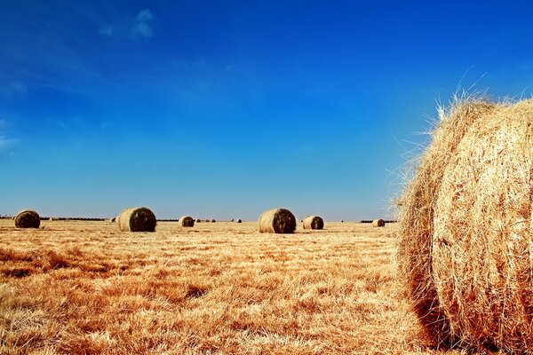 Campo con balle di paglia su uno sfondo di cielo blu