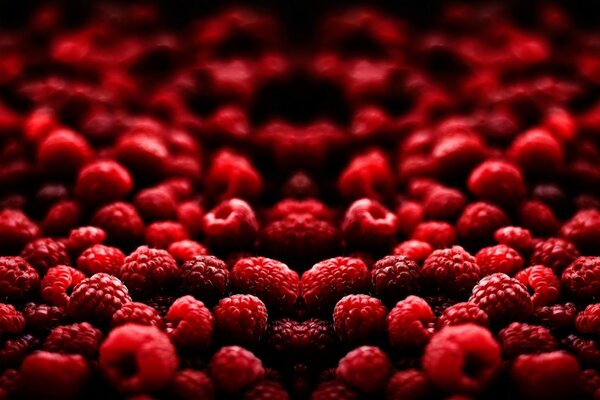 Lots of raspberries of different shapes