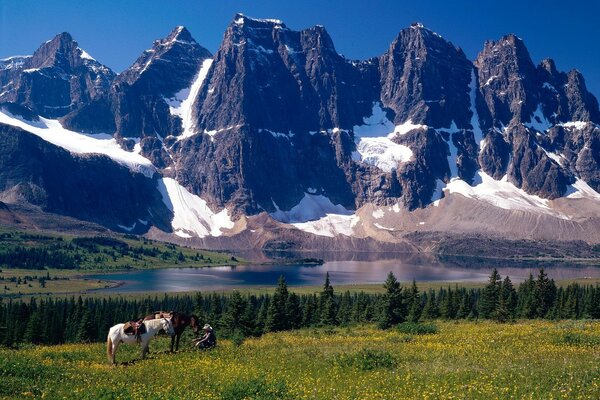 Horses and a man on the background of mountains and a reservoir in Canada