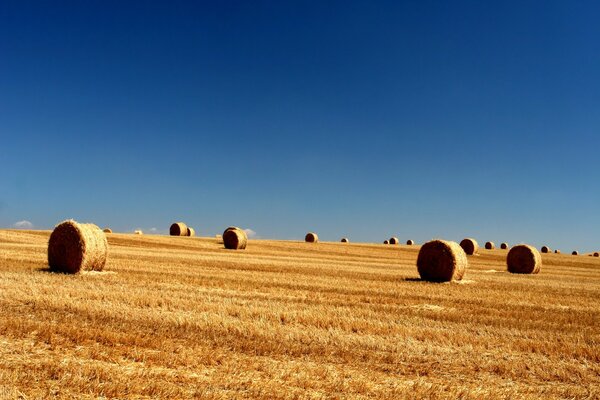 Balle nel campo contro il cielo blu