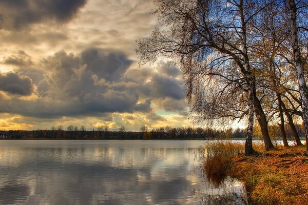 Settling of a birch tree by a cold lake