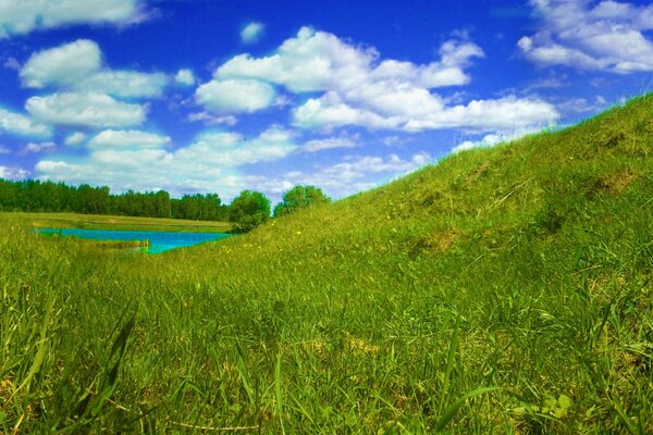 Panorama di palyana verde e cielo blu