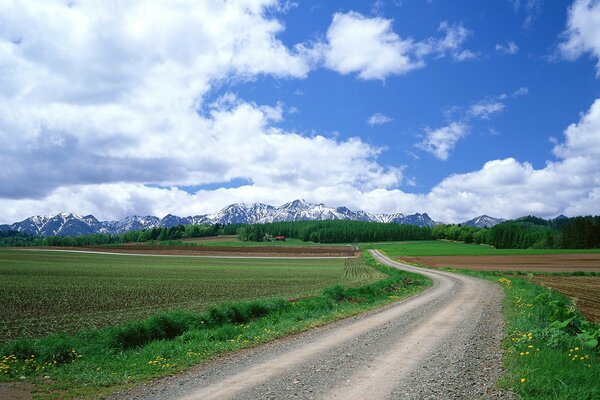 An unusual landscape with mountains