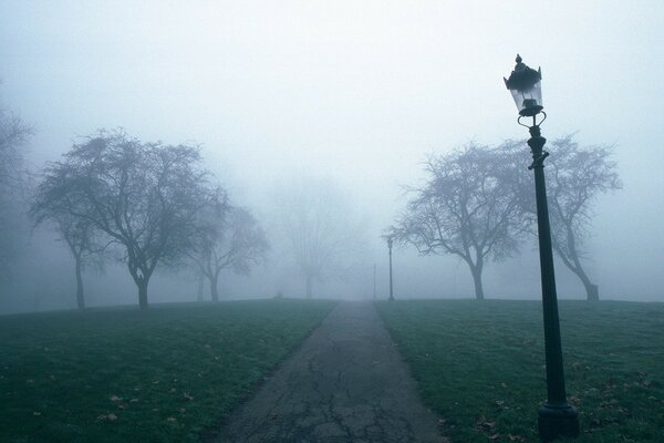 A foggy path framed by trees and lanterns