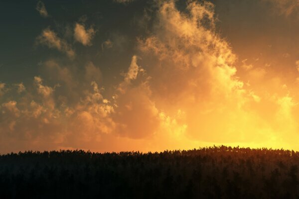 Tramonto infuocato con nuvole e alberi in primo piano