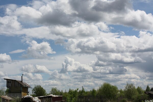 View of floating pile clouds over the forest