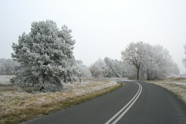 Winter air. Frosty freshness