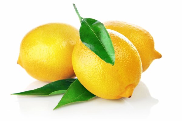 Citron juteux sur fond blanc