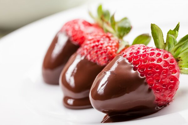 Chocolate-covered strawberries on a white background