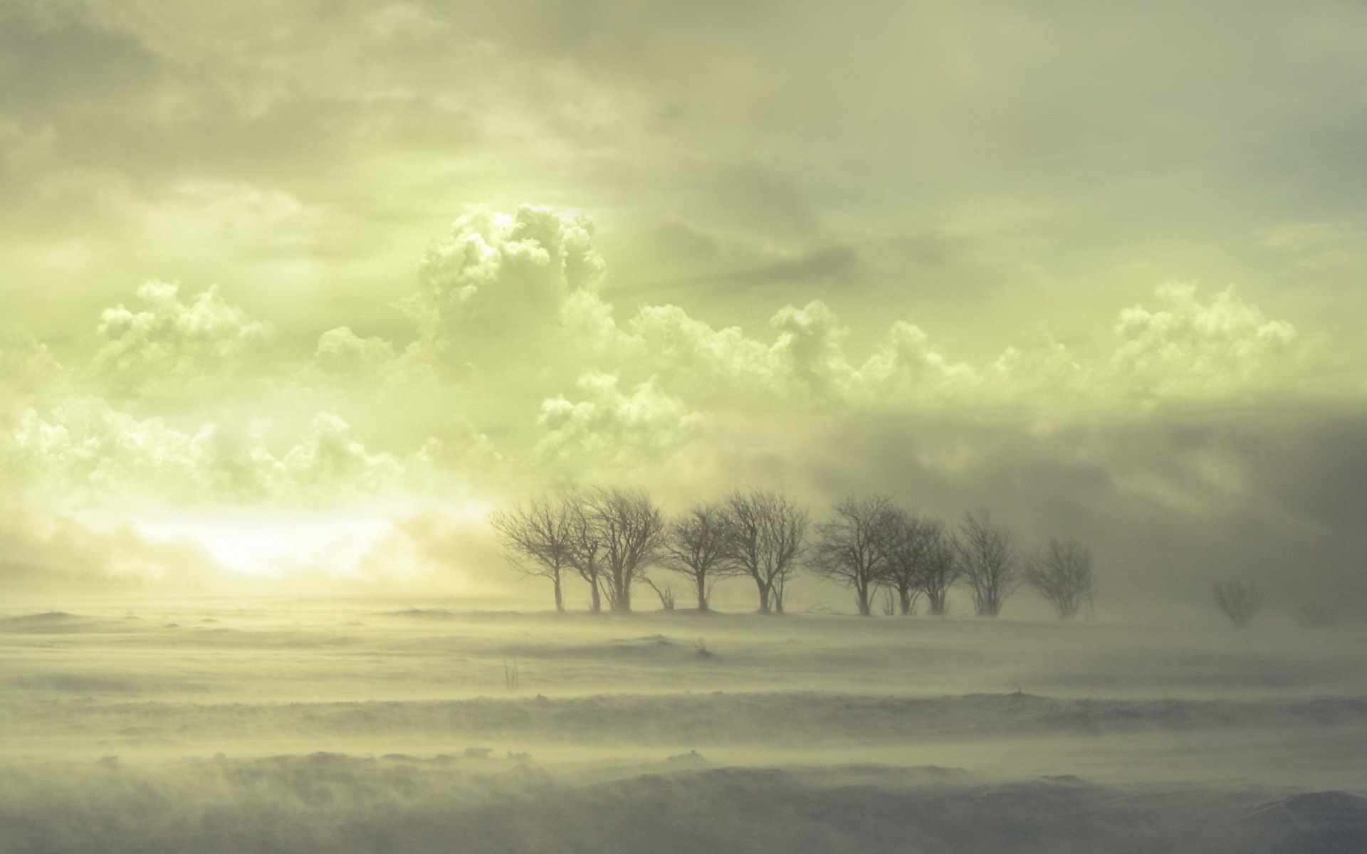 bäume wolken schnee